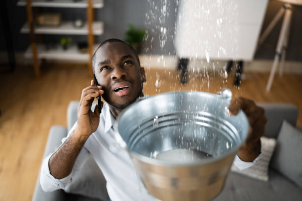 Best Flood restoration services  in Lafayette, IN