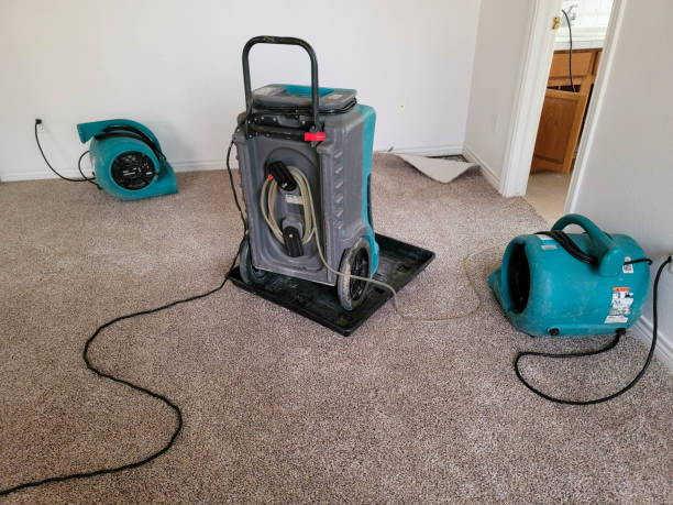 Best Water damage cleanup near me  in Lafayette, IN