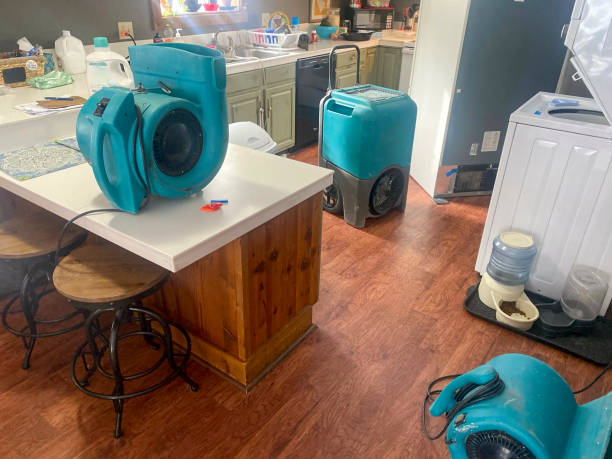 Best Sewage cleanup and water damage restoration  in Lafayette, IN