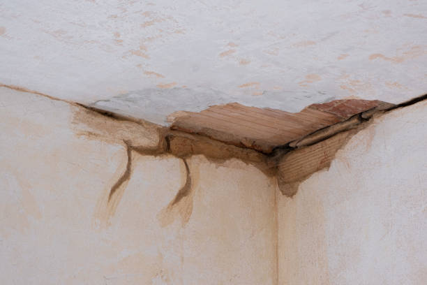 Best Mold removal after water damage  in Lafayette, IN