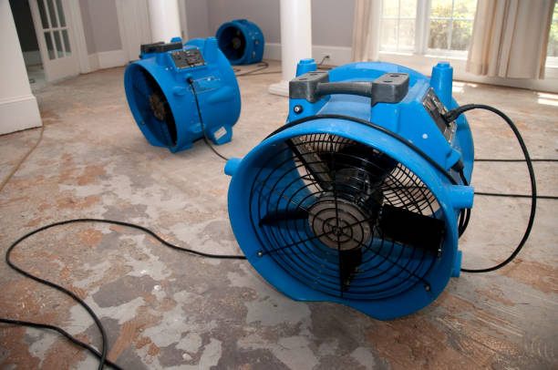 Best Flood restoration services  in Lafayette, IN