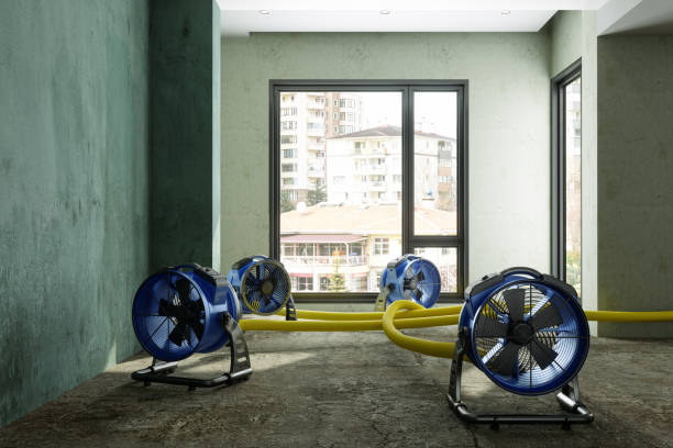 Best Water damage restoration near me  in Lafayette, IN