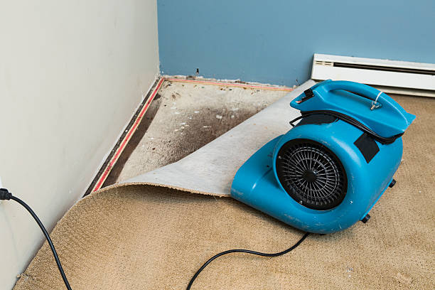 Best Basement water damage restoration  in Lafayette, IN